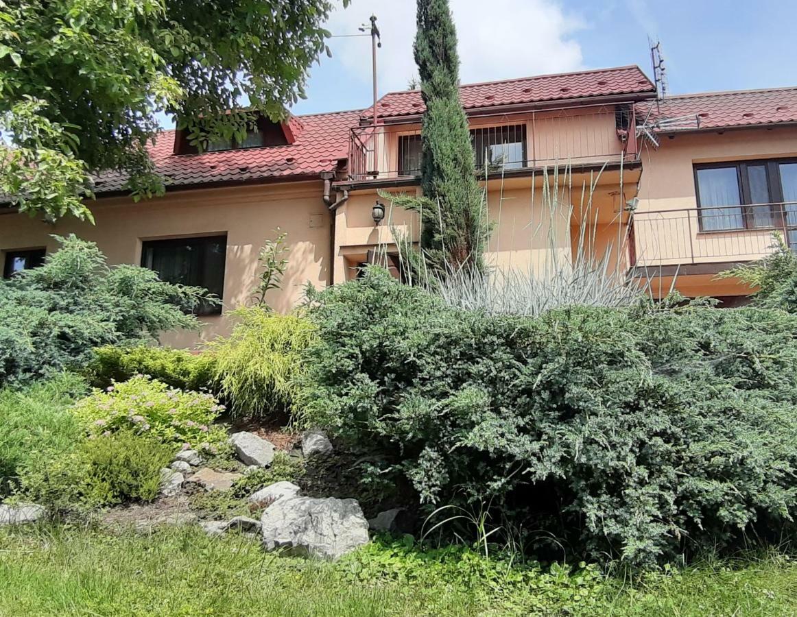 Dom Nad Wisla Villa Czernichow  Exteriör bild
